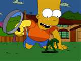 voici  bart